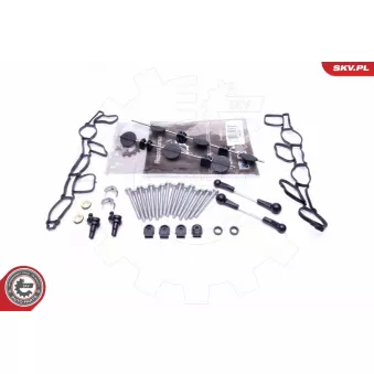 Kit de réparation, module de tube d'aspiration ESEN SKV OEM 059129712BQ