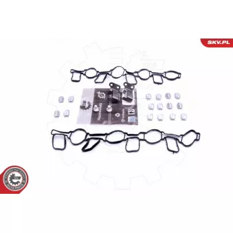 Kit de réparation, module de tube d'aspiration ESEN SKV 49SKV519