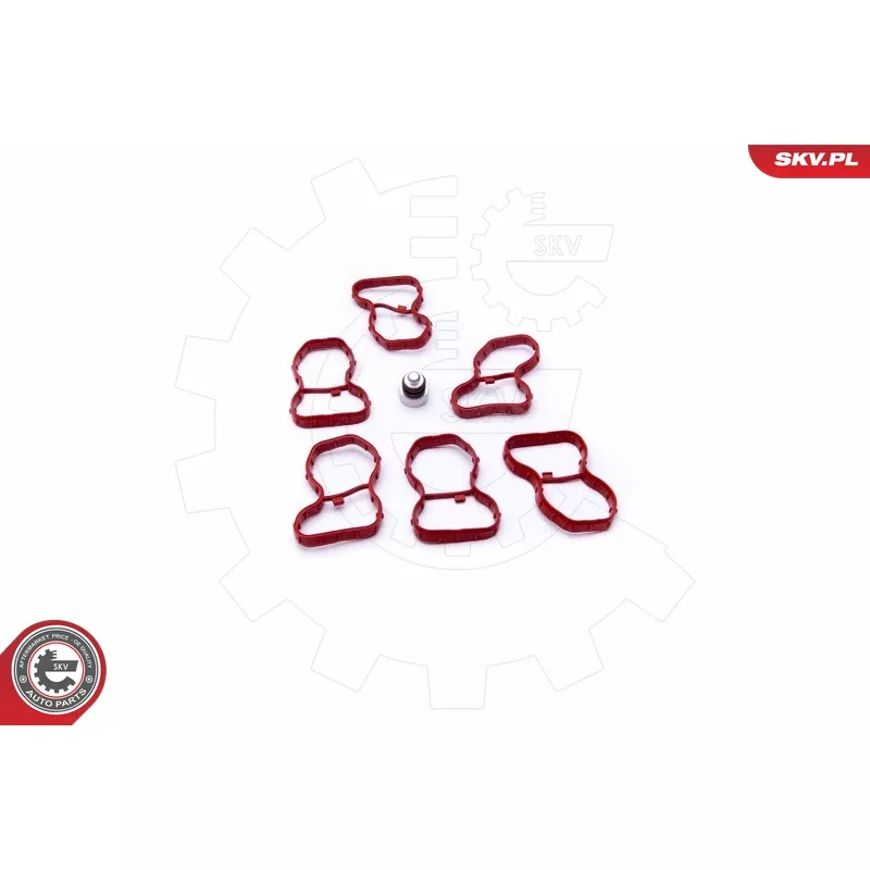 Kit de réparation, module de tube d'aspiration ESEN SKV 49SKV522 - Visuel 1