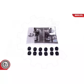 Kit de réparation, module de tube d'aspiration ESEN SKV OEM 059129086M