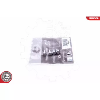 Kit de réparation, module de tube d'aspiration ESEN SKV 49SKV547 pour FIAT STILO 1.9 D Multijet - 150cv