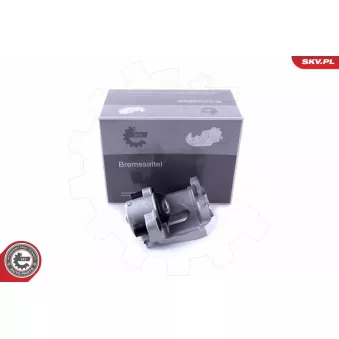 Étrier de frein arrière droit ESEN SKV OEM 34211163394