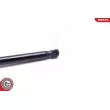 ESEN SKV 52SKV069 - Vérin, capot-moteur