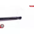 ESEN SKV 52SKV077 - Vérin, capot-moteur