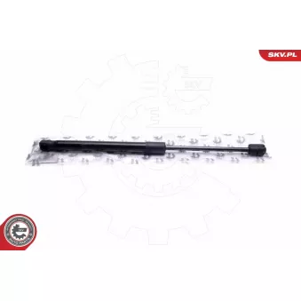 Vérin, capot-moteur ESEN SKV OEM 811713Z000