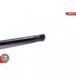ESEN SKV 52SKV118 - Vérin, capot-moteur