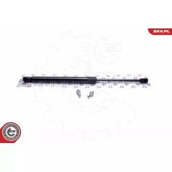 Vérin, capot-moteur ESEN SKV [52SKV119]