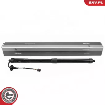 Moteur électrique, hayon arrière droit ESEN SKV [52SKV170]