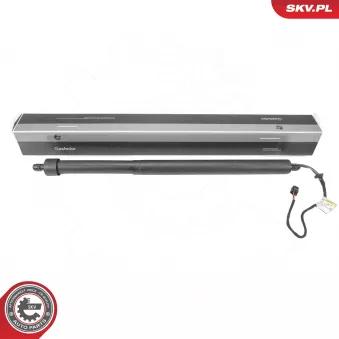 ESEN SKV 52SKV187 - Moteur électrique, hayon