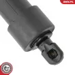 ESEN SKV 52SKV187 - Moteur électrique, hayon