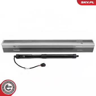 ESEN SKV 52SKV189 - Moteur électrique, hayon