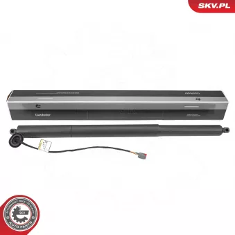 ESEN SKV 52SKV207 - Moteur électrique, hayon arrière gauche