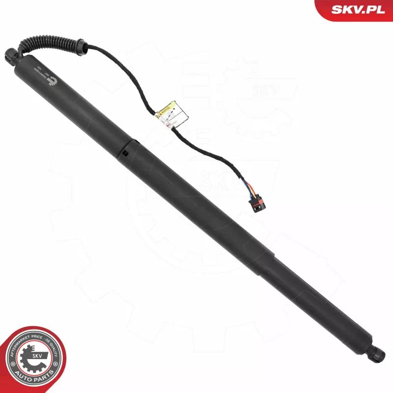 Moteur électrique, hayon ESEN SKV 52SKV220 - Visuel 1