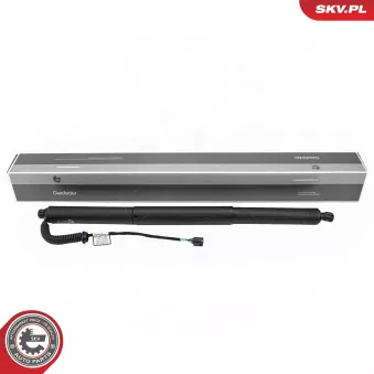 ESEN SKV 52SKV228 - Moteur électrique, hayon arrière gauche