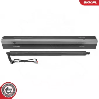 ESEN SKV 52SKV246 - Moteur électrique, hayon arrière gauche