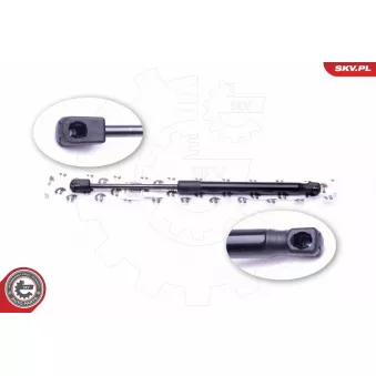 Vérin de hayon, de coffre ESEN SKV 52SKV302 pour RENAULT SAFRANE 1.9 JTD - 105cv