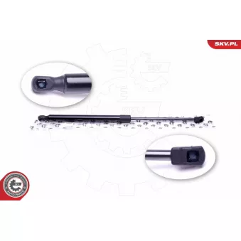 Vérin de hayon, de coffre ESEN SKV 52SKV311