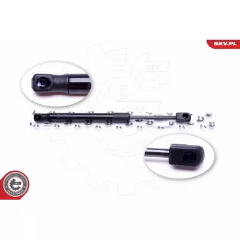 Vérin de hayon, de coffre ESEN SKV 52SKV321 pour LADA PRIORA 1.9 TDI - 130cv