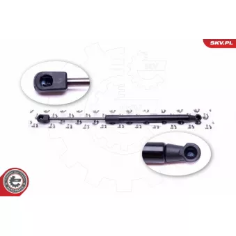 Vérin de hayon, de coffre ESEN SKV 52SKV352 pour BMW Série 6 3.0 V6 - 211cv