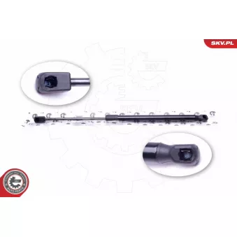 Vérin de hayon, de coffre ESEN SKV 52SKV400 pour PEUGEOT 407 2.0 CRDi 4x4 - 184cv