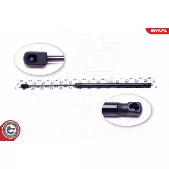 Vérin de hayon, de coffre ESEN SKV 52SKV440 pour FIAT DOBLO 1.7 D - 60cv