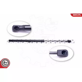 Vérin de hayon, de coffre ESEN SKV 52SKV441 pour FIAT DOBLO 1.7 D - 60cv