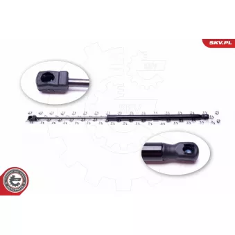 Vérin de hayon, de coffre ESEN SKV 52SKV453 pour FORD FIESTA 1.2 - 69cv