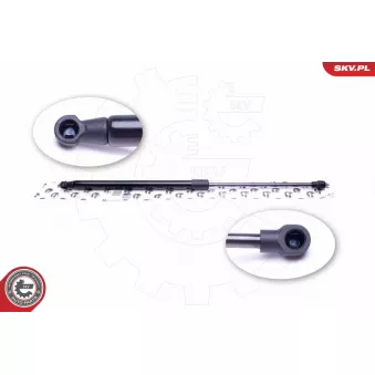 Vérin de hayon, de coffre ESEN SKV 52SKV476 pour RENAULT LAGUNA 1.9 dCi - 125cv