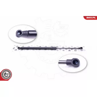 Vérin de hayon, de coffre ESEN SKV 52SKV504