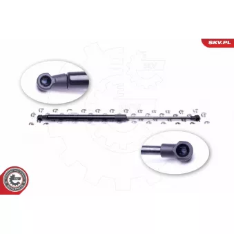 Vérin de hayon, de coffre ESEN SKV OEM 6895009340