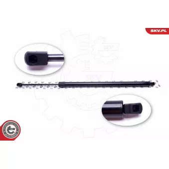 Vérin de hayon, de coffre ESEN SKV 52SKV528 pour VOLKSWAGEN GOLF 1.9 TDI - 102cv