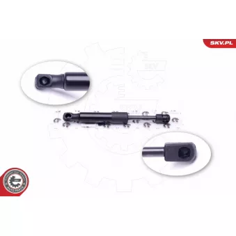 Vérin de hayon, de coffre ESEN SKV 52SKV550