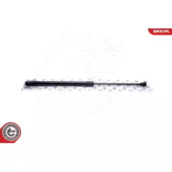 Vérin de hayon, de coffre ESEN SKV 52SKV571 pour AUDI A2 1.4 TDI - 75cv