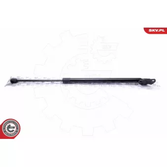 Vérin de hayon, de coffre ESEN SKV 52SKV630