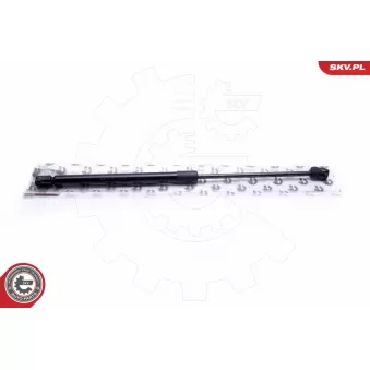 Vérin de hayon, de coffre ESEN SKV OEM 55360171AC