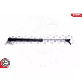 ESEN SKV 52SKV640 - Vérin de hayon, de coffre