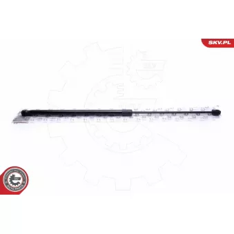 Vérin de hayon, de coffre ESEN SKV [52SKV643]