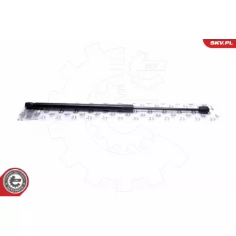 Vérin de hayon, de coffre ESEN SKV 52SKV648