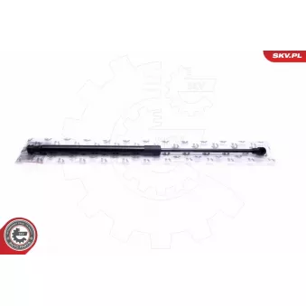 Vérin de hayon, de coffre ESEN SKV 52SKV688