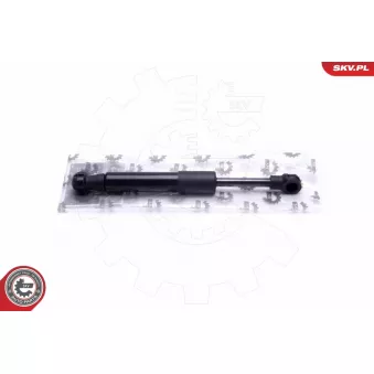 ESEN SKV 52SKV746 - Vérin, frein de stationnement au pied