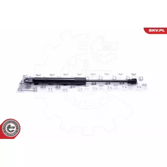 Vérin, vitre arrière ESEN SKV 52SKV747 pour CITROEN C3 1.6 - 109cv