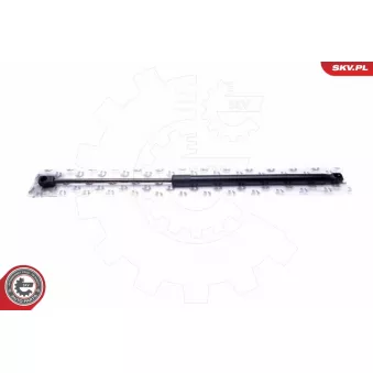 Vérin, vitre arrière ESEN SKV OEM 8200135264 Vérin, vitre arrière ESEN SKV OEM 8200135264