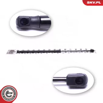 Vérin de hayon, de coffre ESEN SKV 52SKV790 pour FORD FOCUS 1.8 - 125cv