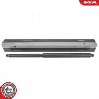 ESEN SKV 52SKV856 - Vérin de hayon, de coffre arrière droit