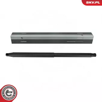 Vérin de hayon, de coffre arrière droit ESEN SKV [52SKV890]