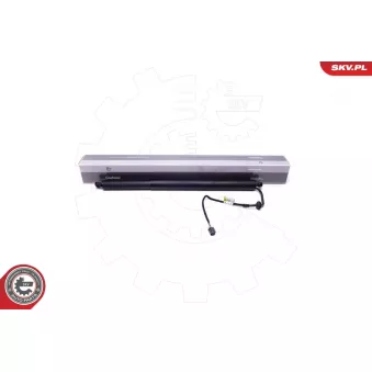 Moteur électrique, hayon arrière gauche ESEN SKV OEM 81770D3100