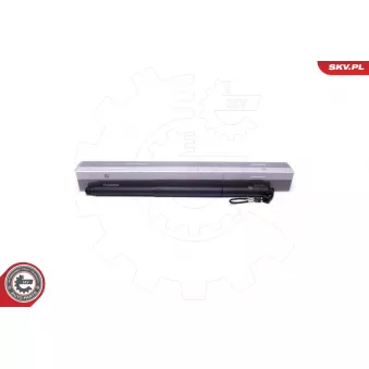 Moteur électrique, hayon arrière gauche ESEN SKV 52SKV943