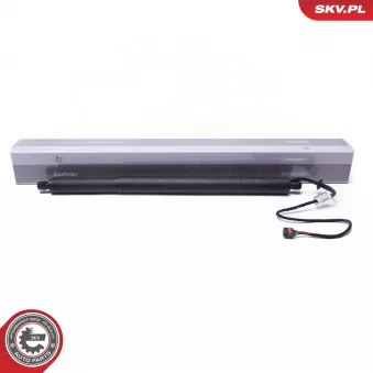 Moteur électrique, hayon ESEN SKV OEM LR104905