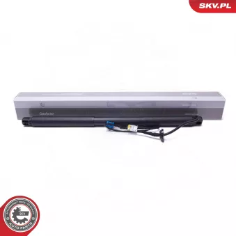 Moteur électrique, hayon ESEN SKV OEM 1668901230 Moteur électrique, hayon ESEN SKV OEM 1668901230