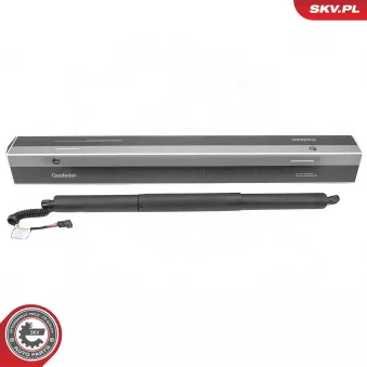 ESEN SKV 52SKV975 - Moteur électrique, hayon